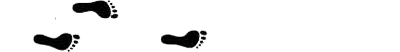 Accueil