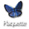 Plaquette 2010