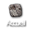 Accueil